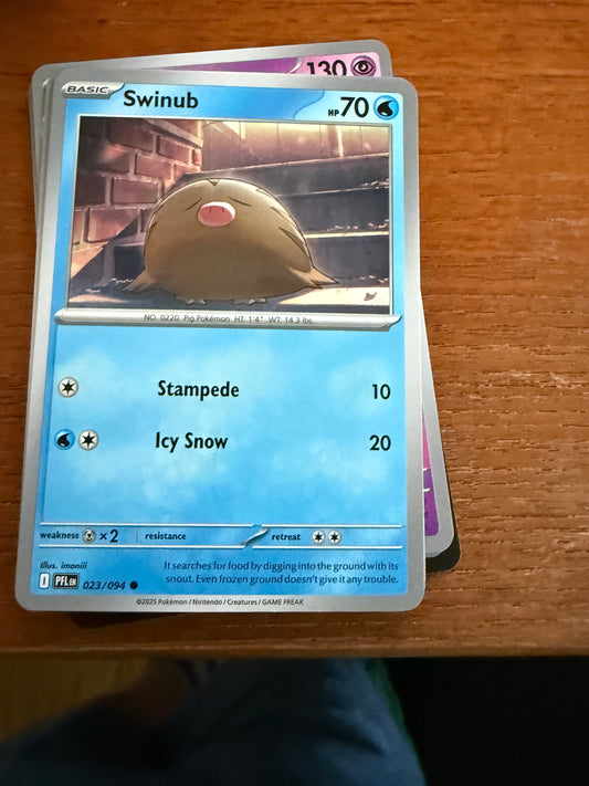 Swinub