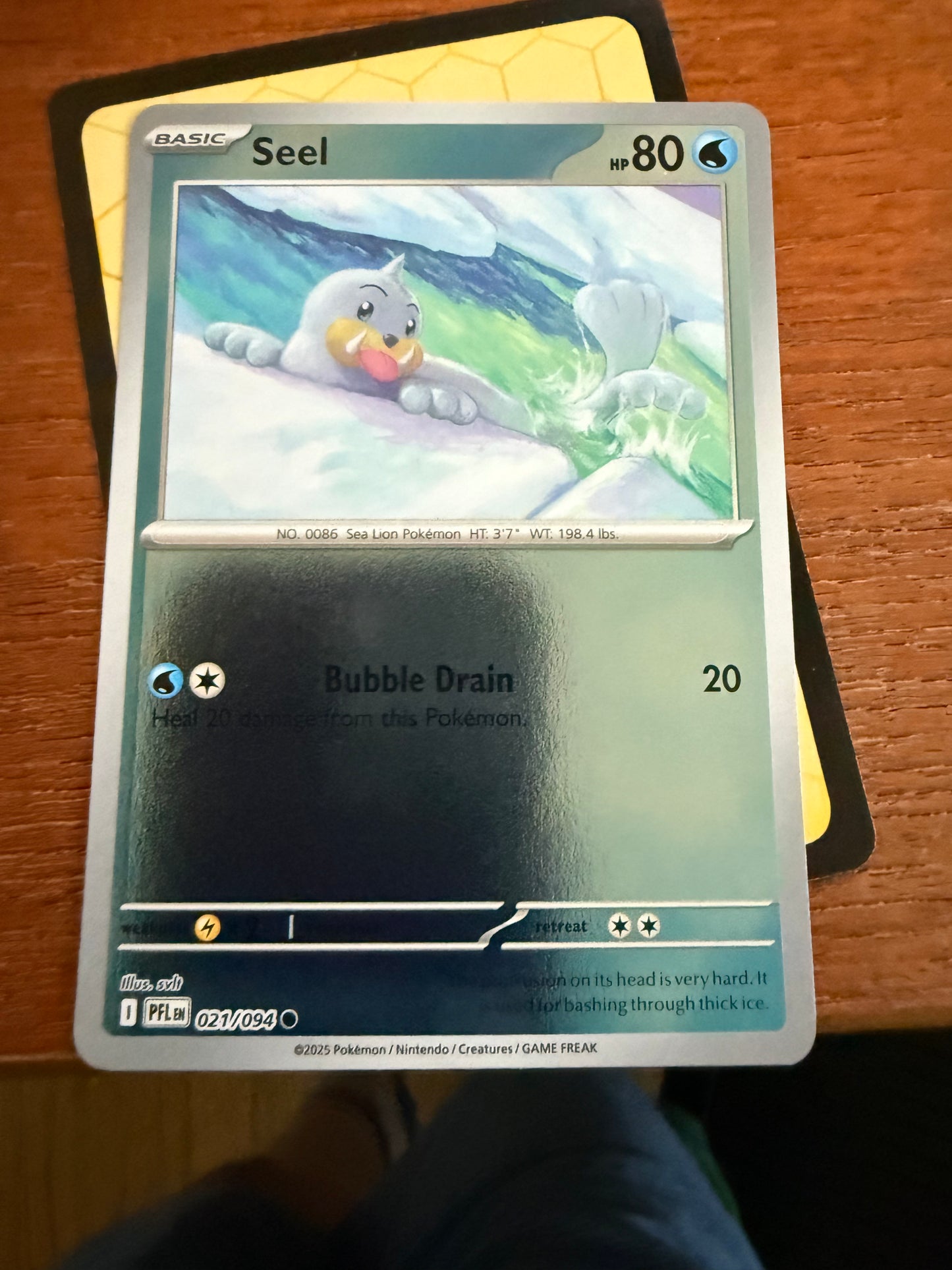 Seel