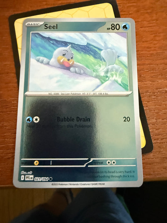 Seel