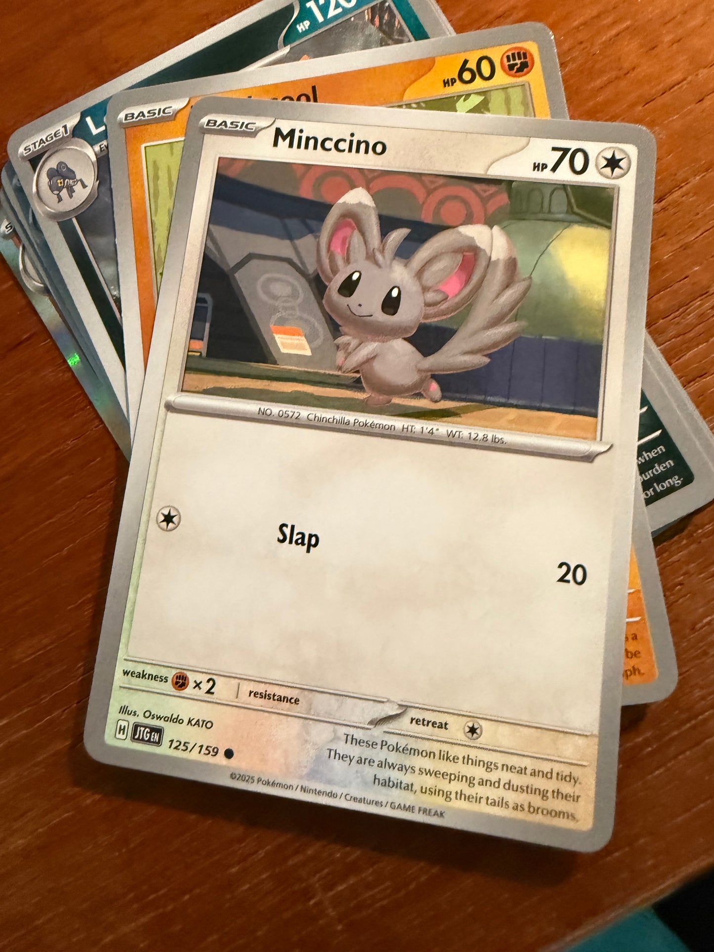 Minccino